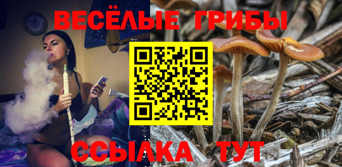 Галлюциногенные грибы MAGIC MUSHROOMS Дивногорск