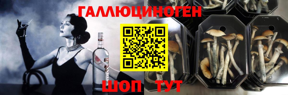 Галлюциногенные грибы прущие грибы  Галлюциногенные грибы ЛСД  Дивногорск  Вход с VPN 
